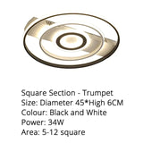 Modern Rectangle/Square/Circle Acrylic Led Ceiling Light White Color Black Remote Control For Living