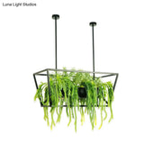 Retro Metal 2-Headed Black Led Drop Lamp For Restaurant Island Ceiling - Trapezoid Design With Plant