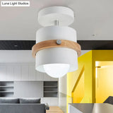 Rotatable 1-Light Macaron Flush Ceiling Light For Corridor - Undertint Cylinder Design