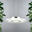 Ultrathin Acrylic Island Pendant Led Light In Warm/White/Natural White / Natural