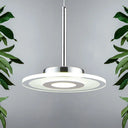 Ultrathin Acrylic Island Pendant Led Light In Warm/White/Natural White / Natural