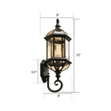 Vintage Birdcage Wall Sconce With Clear Glass Shade - Single-Bulb Garden Light Fixture Black / 8