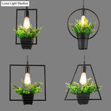 Vintage Black Metal Pendant Light With Planter And Frame For Kitchen