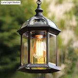 Vintage Outdoor Hanging Pendant Light With Clear Glass Birdcage Design